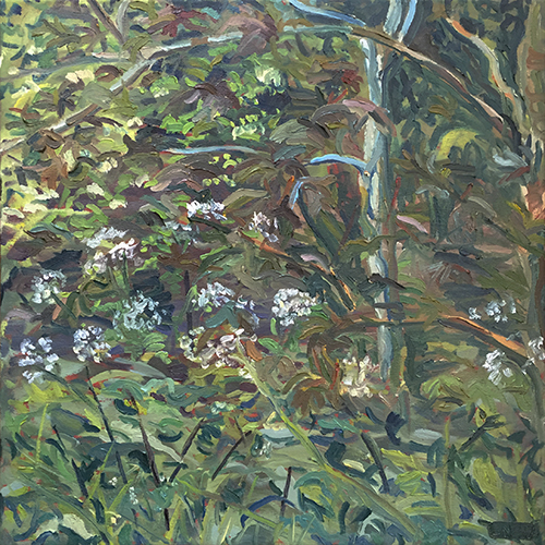 Sycamore, White Flowers and Nettles, April 2017 by Stuart Nurse